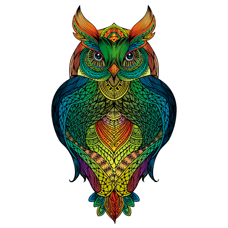 Пазлы 2D деревянные цветные EOwl | Сова 473615 фото